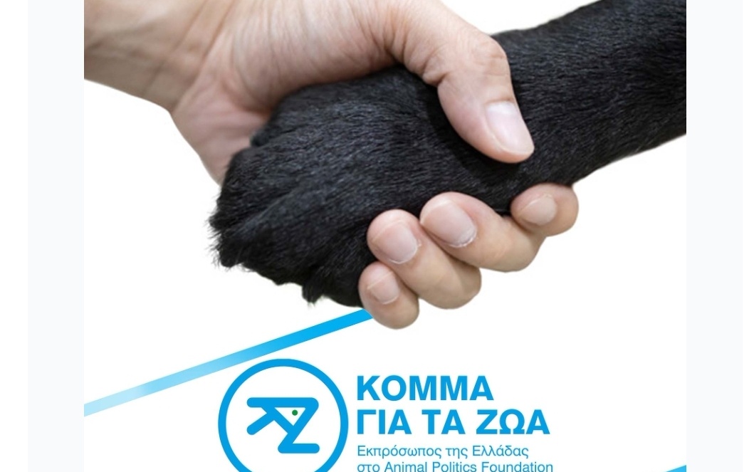 «Κόμμα για τα Ζώα» : «Παλεύουμε για την ευζωία των ζώων – Οι εξελίξεις για το καταφύγιο προκάλεσαν δυσαρέσκεια» post thumbnail image